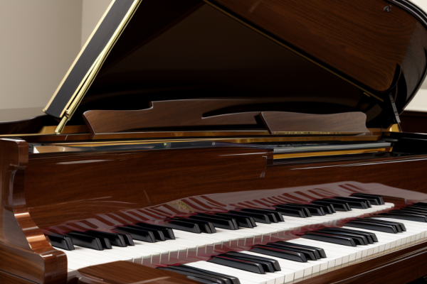 Understanding the Fundamentals of a Piano in Music